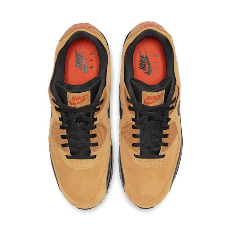 Nike Air Max 90 AJ1285-700 04