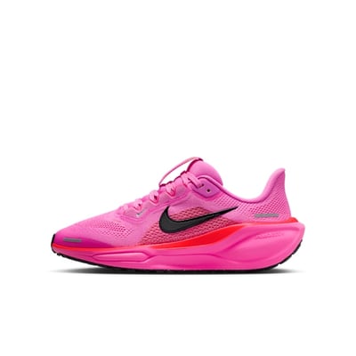Nike Pegasus 41 FN5041-603