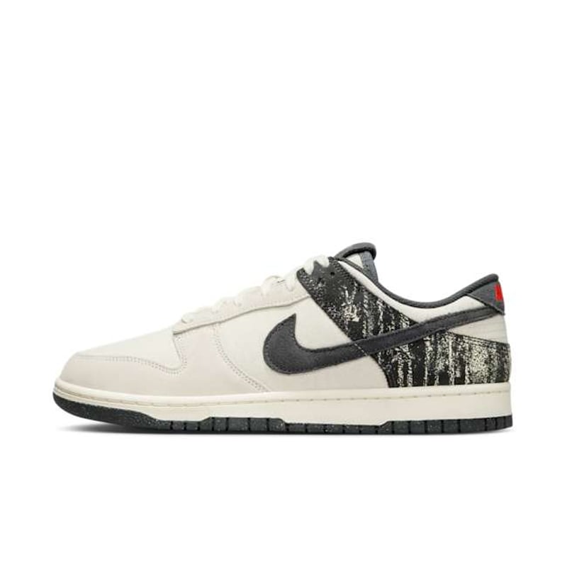 Nike Dunk Low Retro SE IB7720-110 01