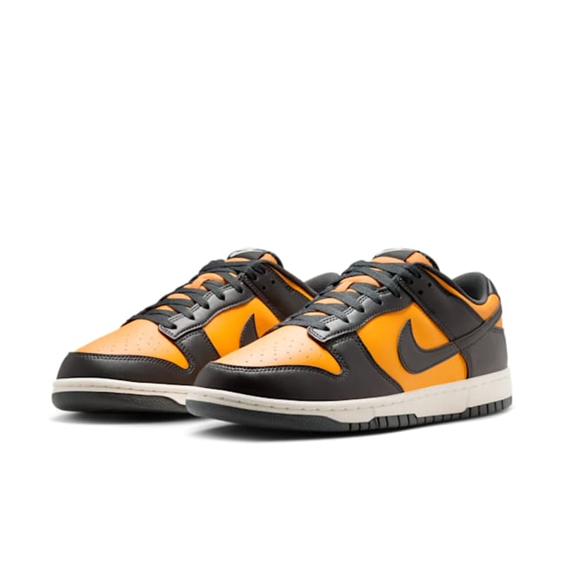 Nike Dunk Low HF5441-700 05