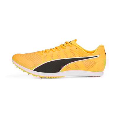 PUMA evoSPEED Distance 11 377961-01