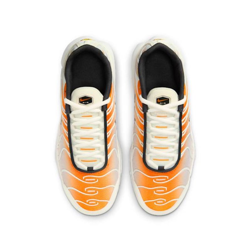 Nike Air Max Plus CD0609-800 04