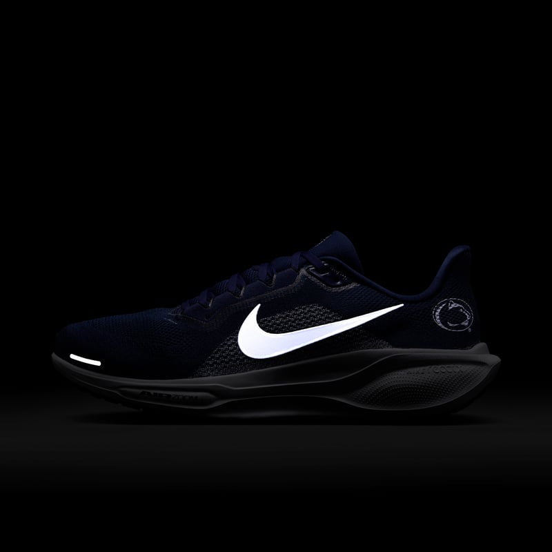 Nike Pegasus 41 IB3258-400 09