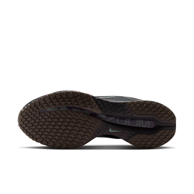 Nike Pegasus Premium IR7546-030 02