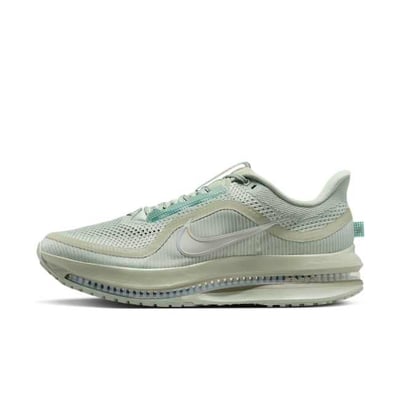 Nike Pegasus Premium HQ2592-300
