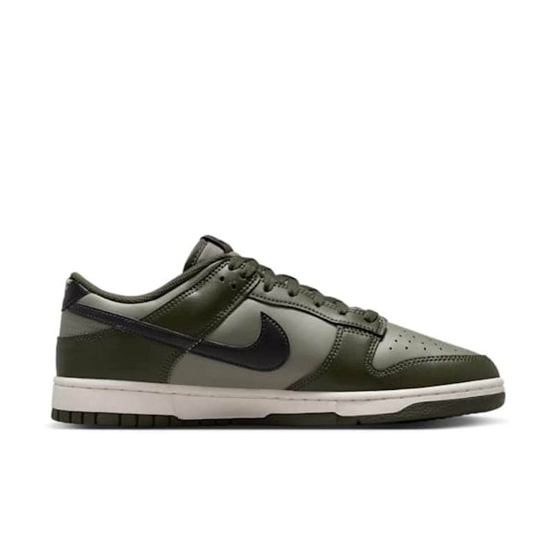 Nike Dunk Low HF5441-300 03