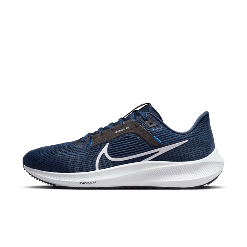 Nike Pegasus 40 DV3853-400 01
