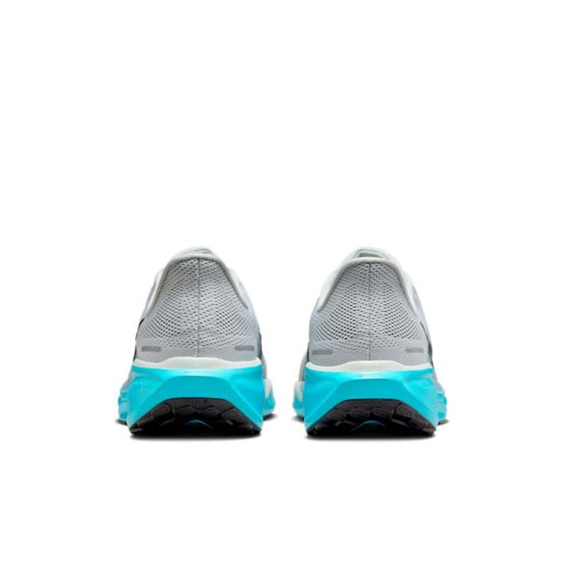 Nike Pegasus 41 FD2722-012 06
