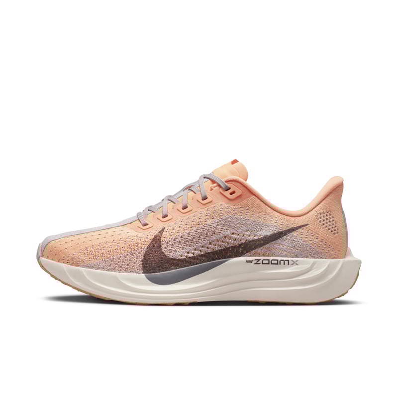 Nike Pegasus Plus FQ7261-702 01