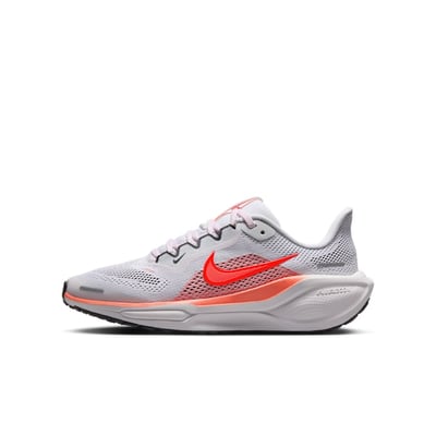 Nike Pegasus 41 FN5041-105
