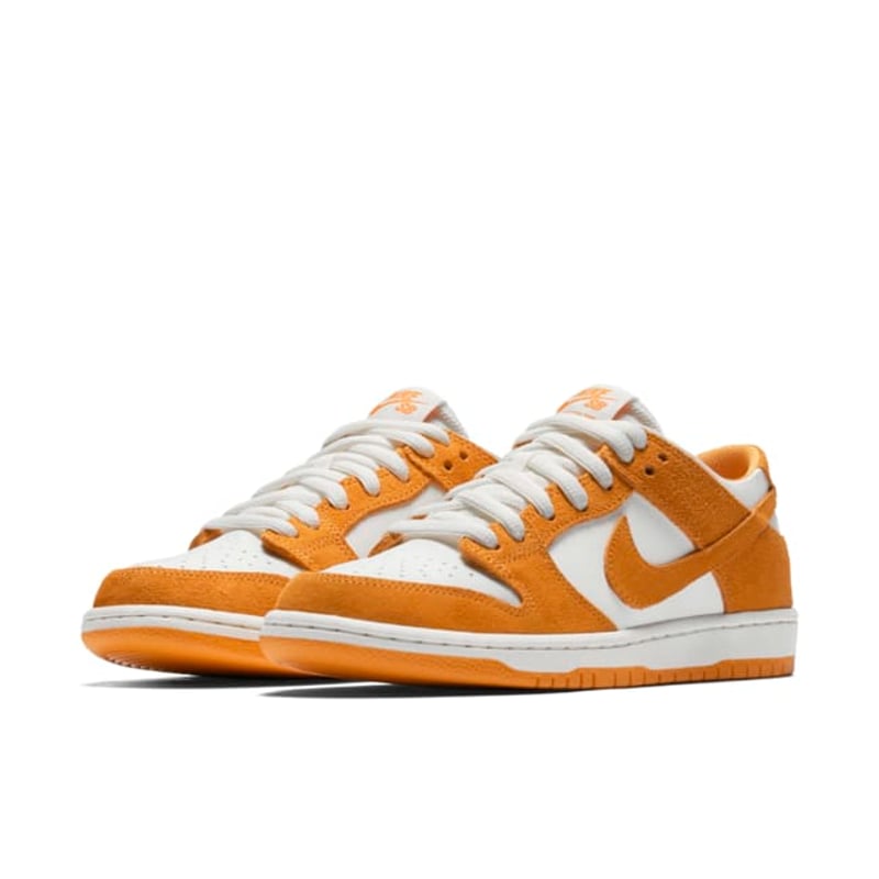 Nike SB Zoom Dunk Low Pro 854866-881 05