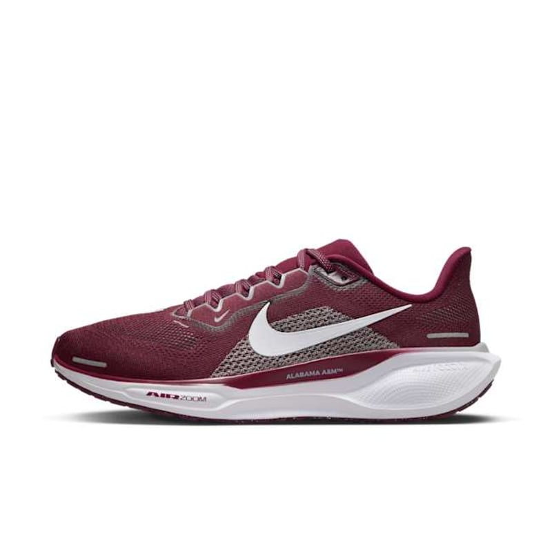 Nike Pegasus 41 FZ5101-600 01