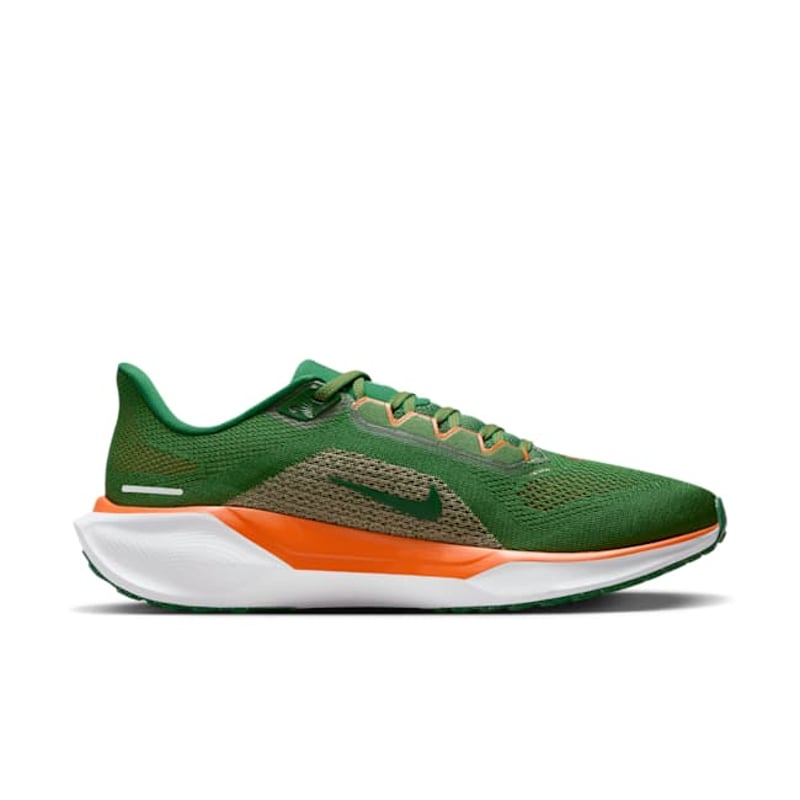 Nike Pegasus 41 FZ5112-300 03