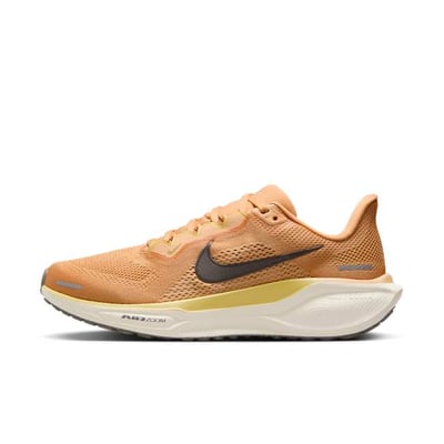 Nike Pegasus 41 FD2723-800