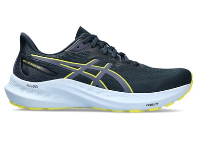 ASICS GT-2000 12 1011B691-403