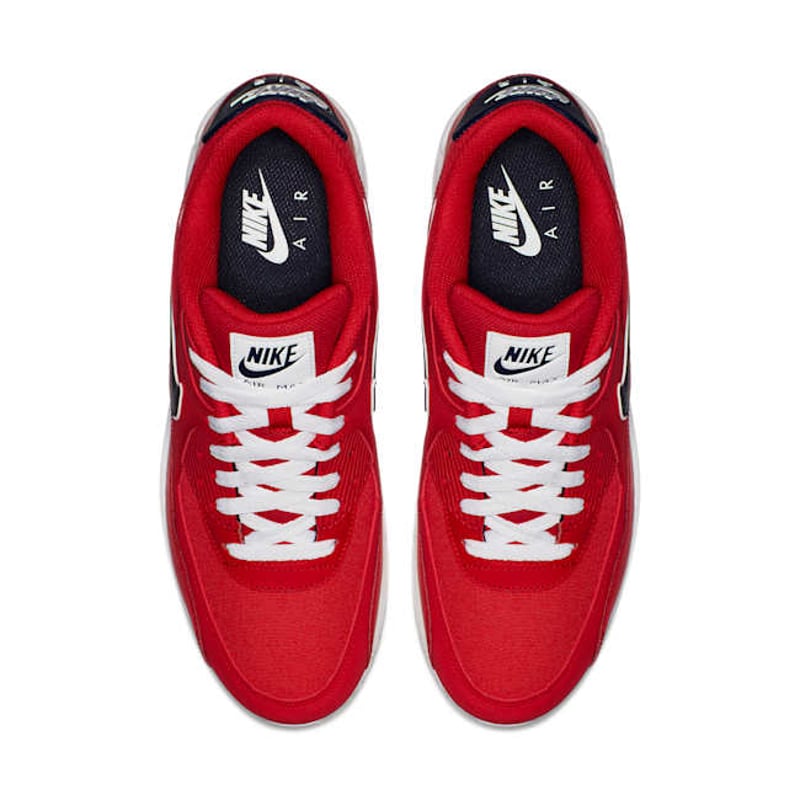Nike Air Max 90 Essential AJ1285-601 04