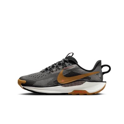 Nike Pegasus Trail 5 FV5638-005