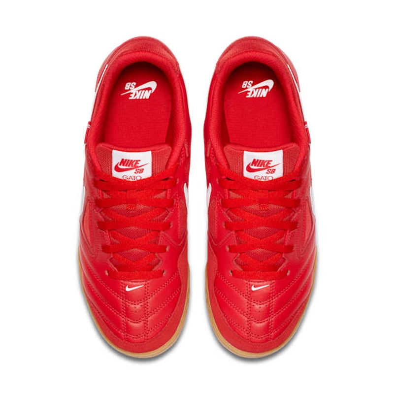 Nike SB Gato AT4607-600 04