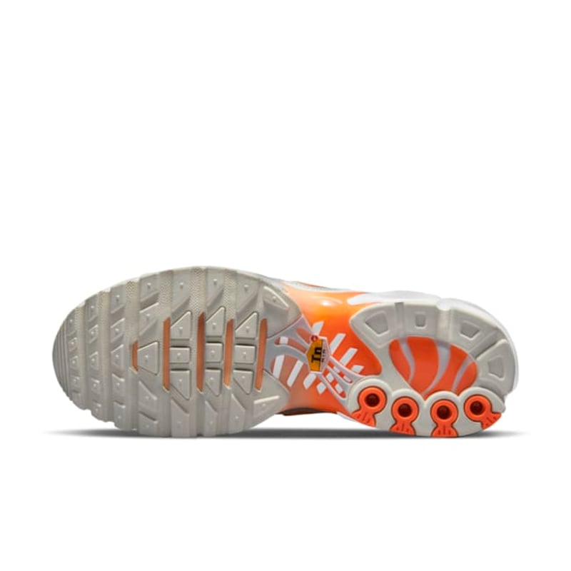 Nike Air Max Plus DM3033-100 02