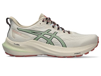 ASICS GT-2000 12 TR 1012B587-250