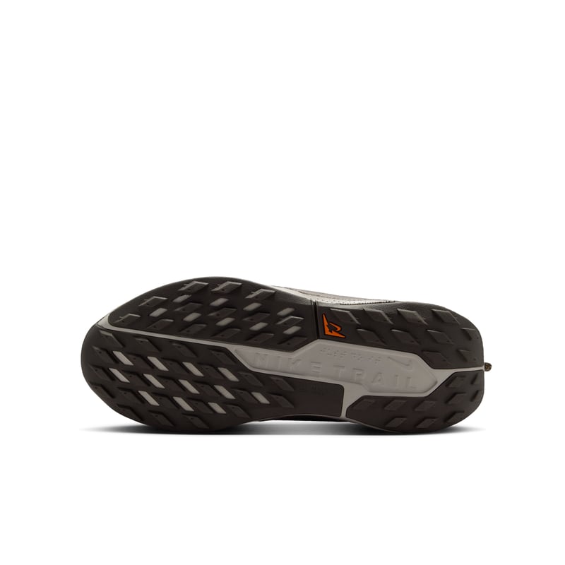 Nike Pegasus Trail 5 FV5638-201 02