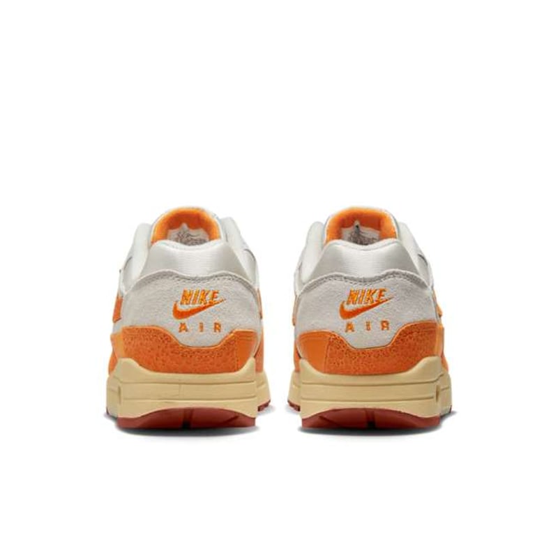Nike Air Max 1 DZ4709-001 06