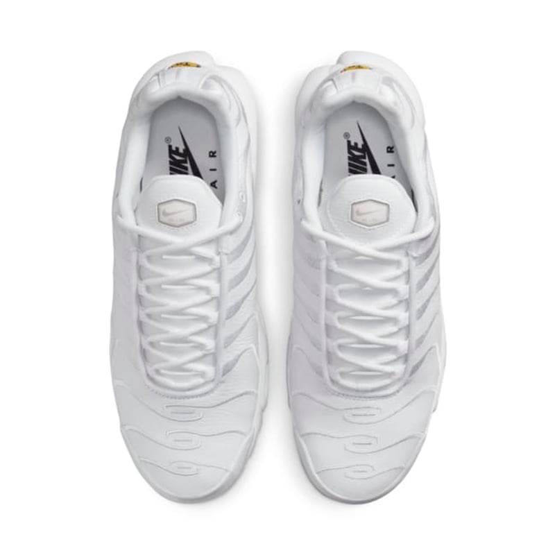 Nike Air Max Plus AJ2029-100 04