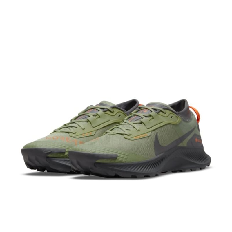 Nike Pegasus Trail 3 GORE-TEX DO6728-300 05