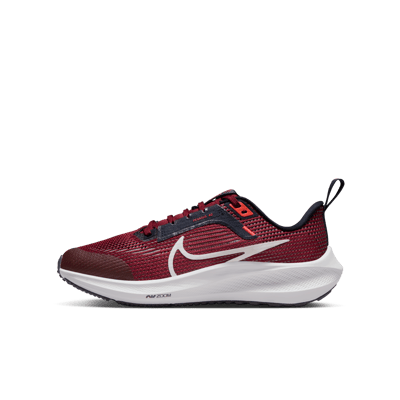 Nike Air Zoom Pegasus 40 DX2498-009 01