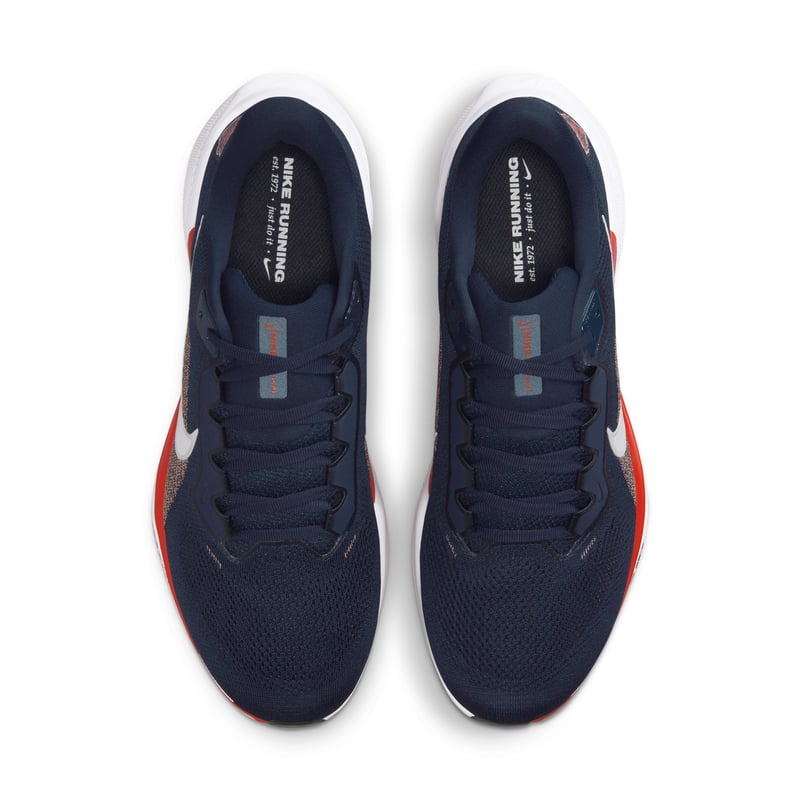 Nike Pegasus 41 x NFL IB3187-400 04