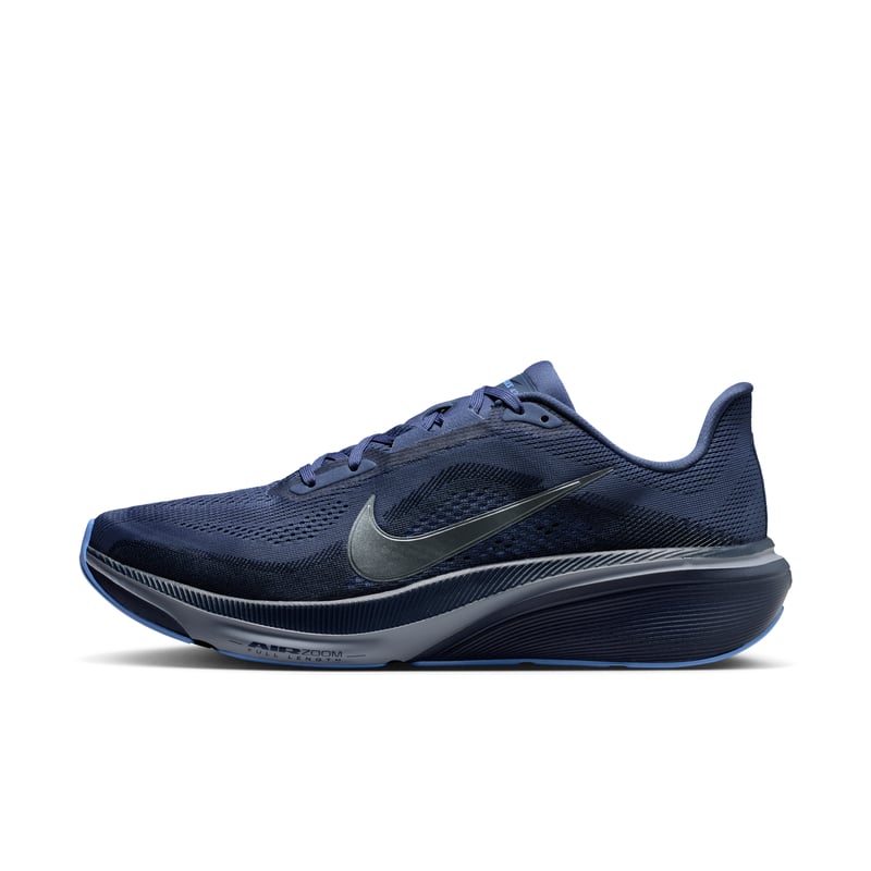 Nike Pegasus 42 IB1873-401 01