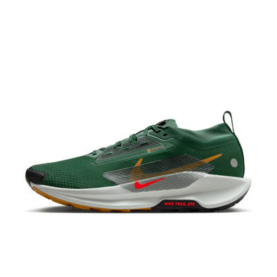 Nike Pegasus Trail 5 GORE-TEX FQ0908-301