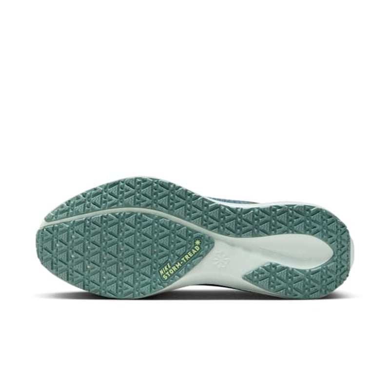 Nike Pegasus 41 GORE-TEX FQ1357-003 02