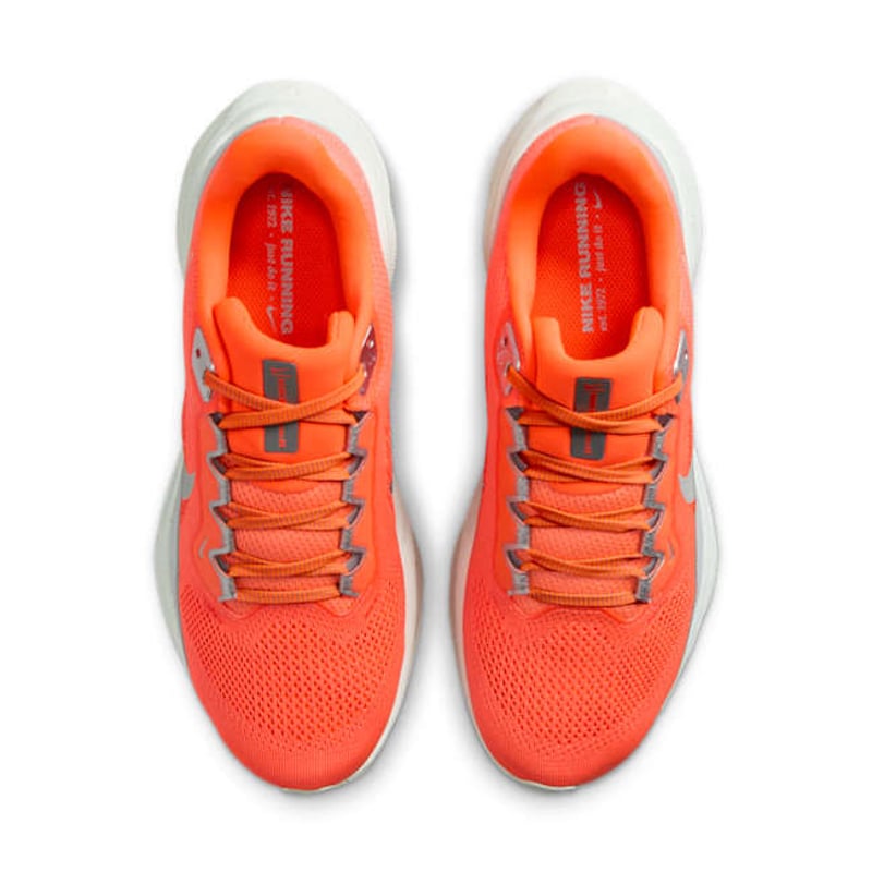 Nike Pegasus 41 Premium FZ1626-800 04