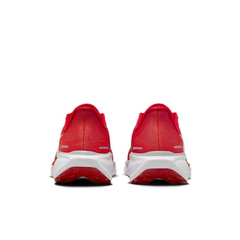 Nike Pegasus 41 FZ5135-600 06