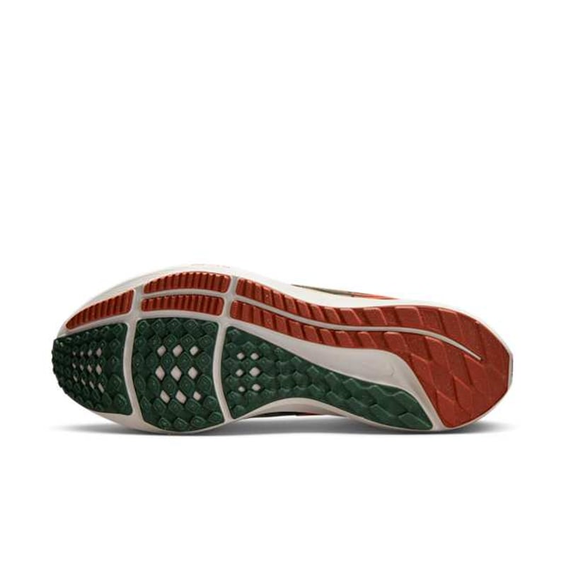Nike Air Zoom Pegasus 39 A.I.R. Hola Lou DO9500-300 02
