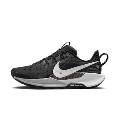 Nike Pegasus Trail 5 DV3865-001