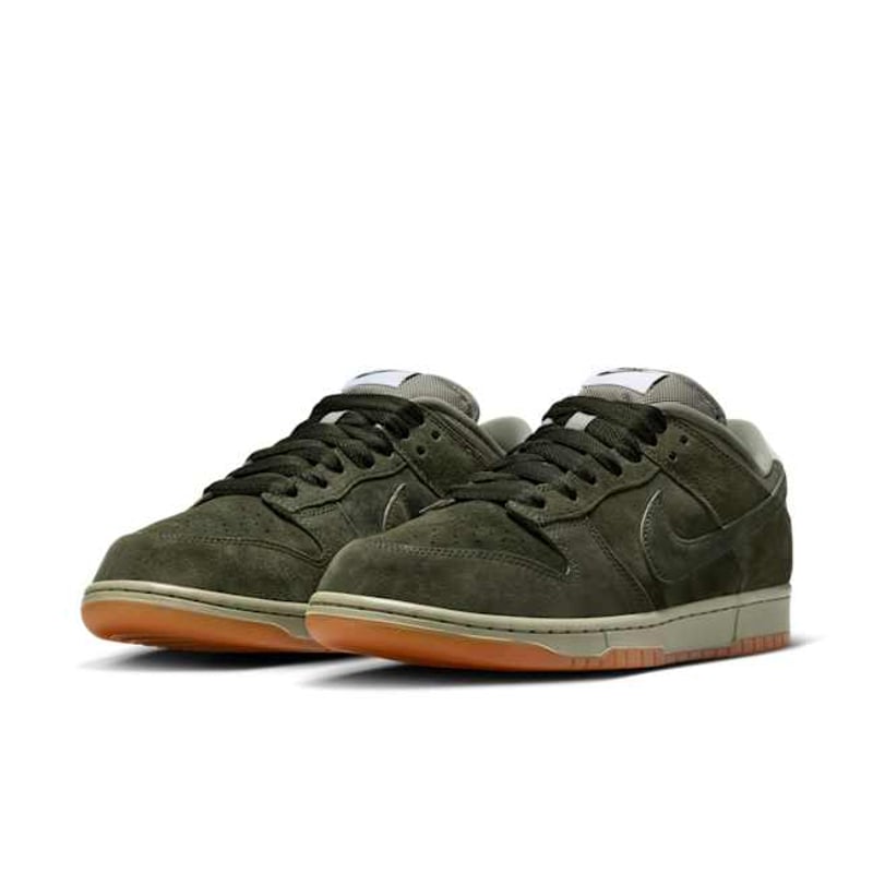 Nike SB Dunk Low Pro B HJ0367-301 05