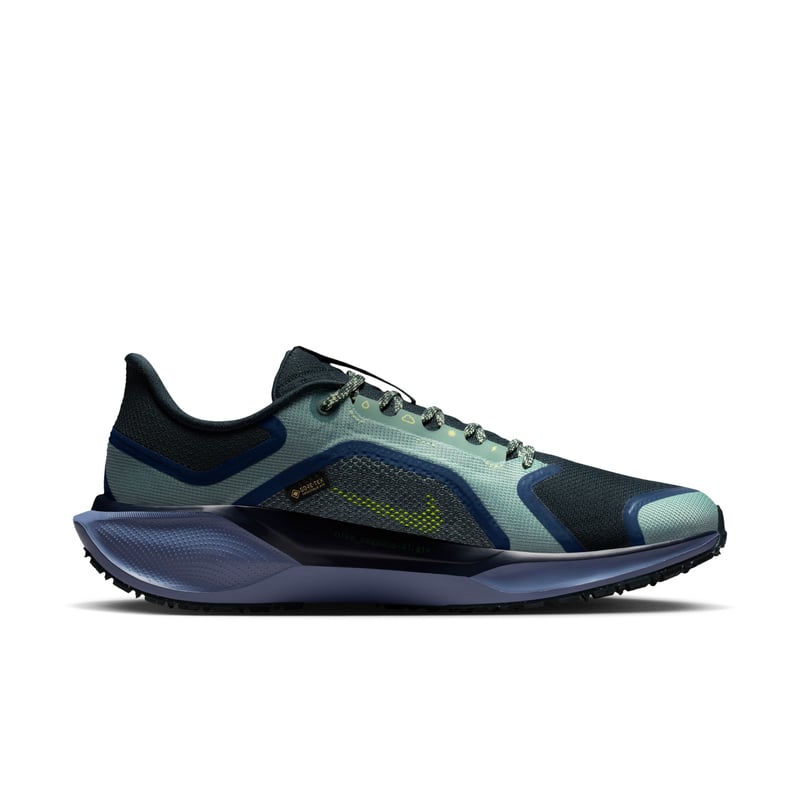Nike Pegasus 41 GORE-TEX FQ1356-006 03