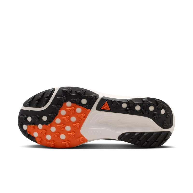 Nike ACG Pegasus HV8121-310 03