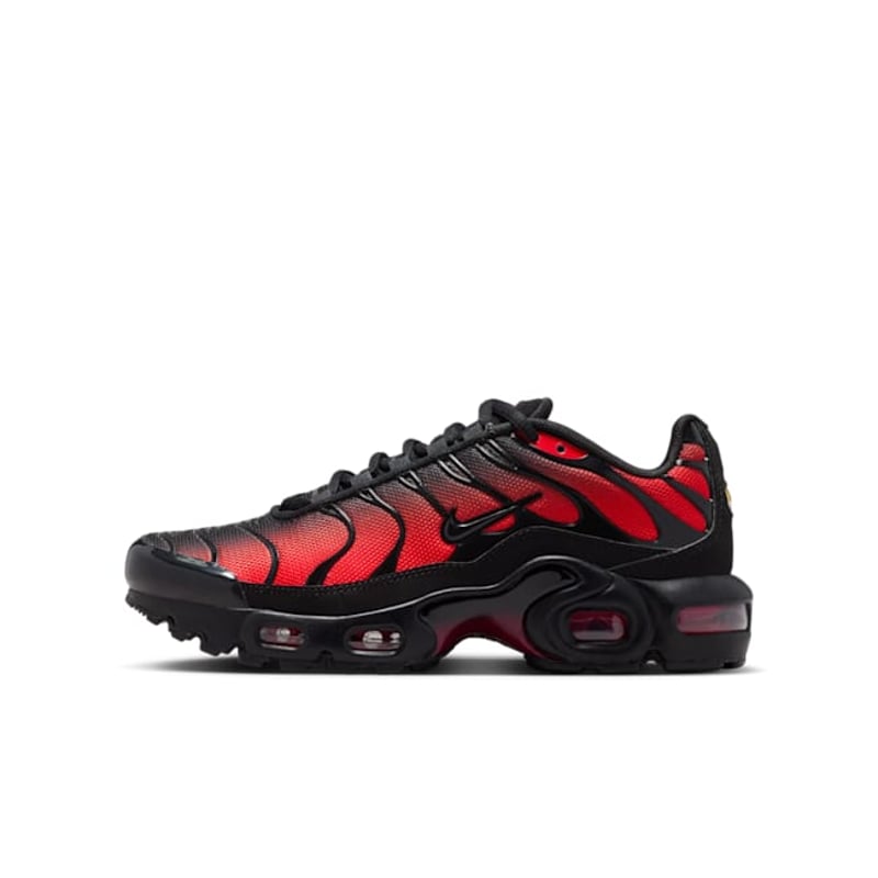 Nike Air Max Plus CD0609-039 01
