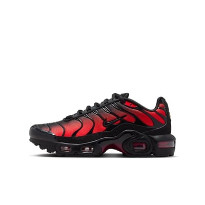 Nike Air Max Plus CD0609-039