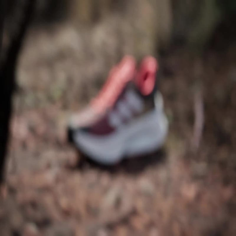 adidas Terrex Soulstride Flow HP5570 02