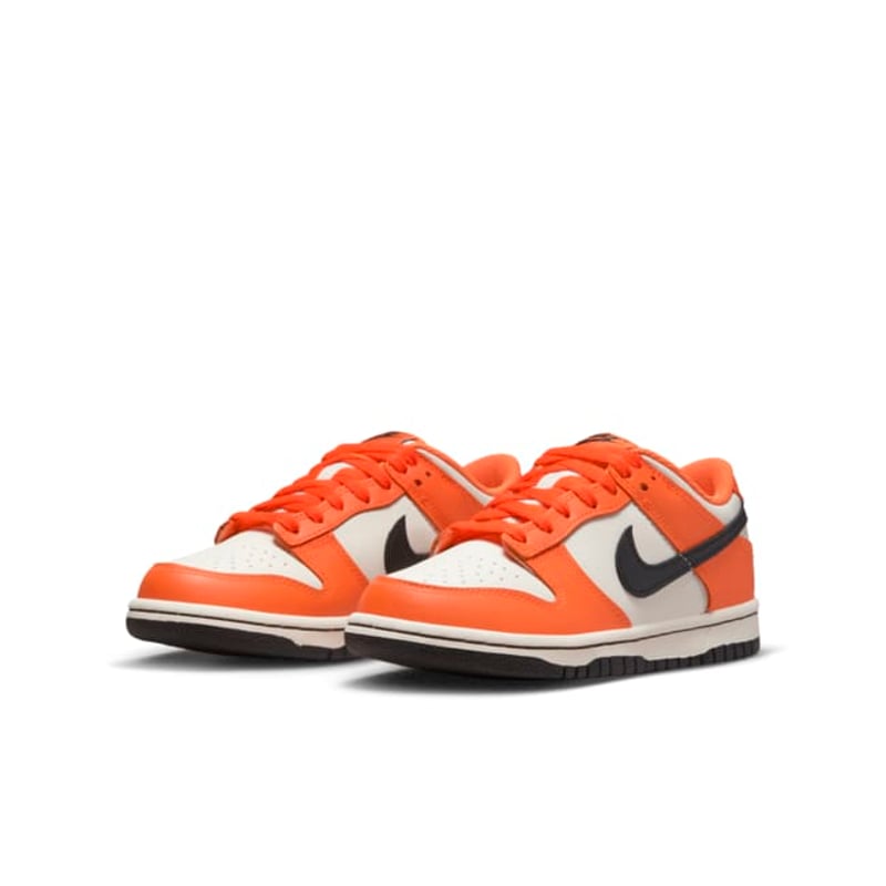 Nike Dunk Low DH9765-003 05