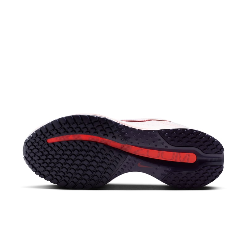 Nike Pegasus Premium HQ2593-606 02