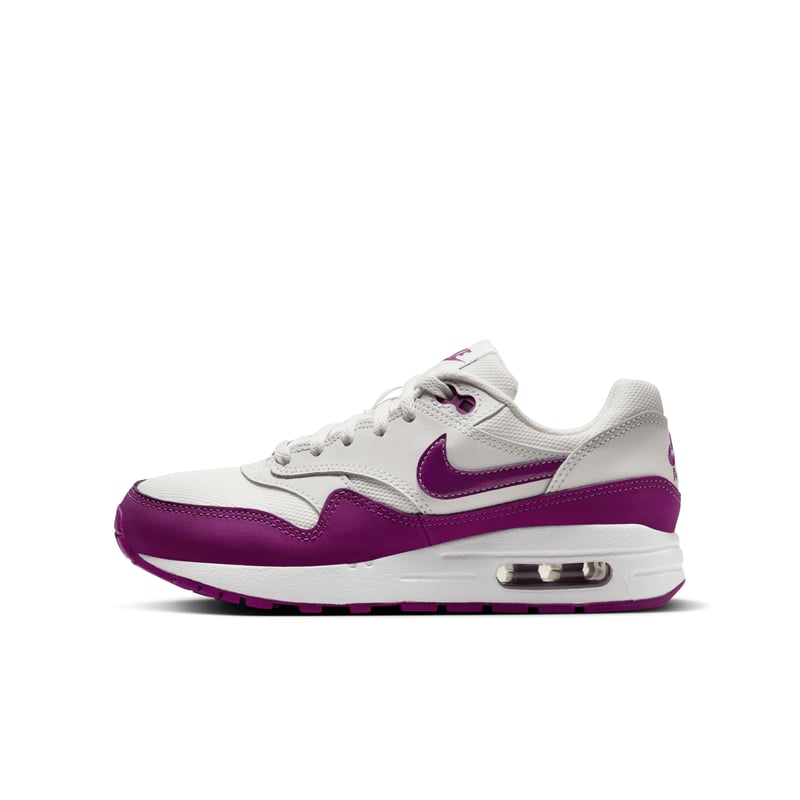 Nike Air Max 1 DZ3307-109 01