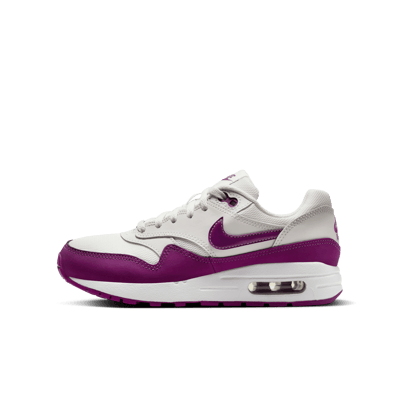 Nike Air Max 1 DZ3307-109 01