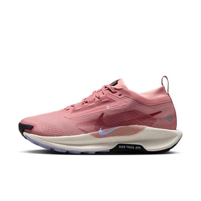 Nike Pegasus Trail 5 GORE-TEX FQ0912-602