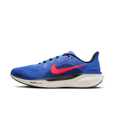 Nike Pegasus 41 FD2722-401