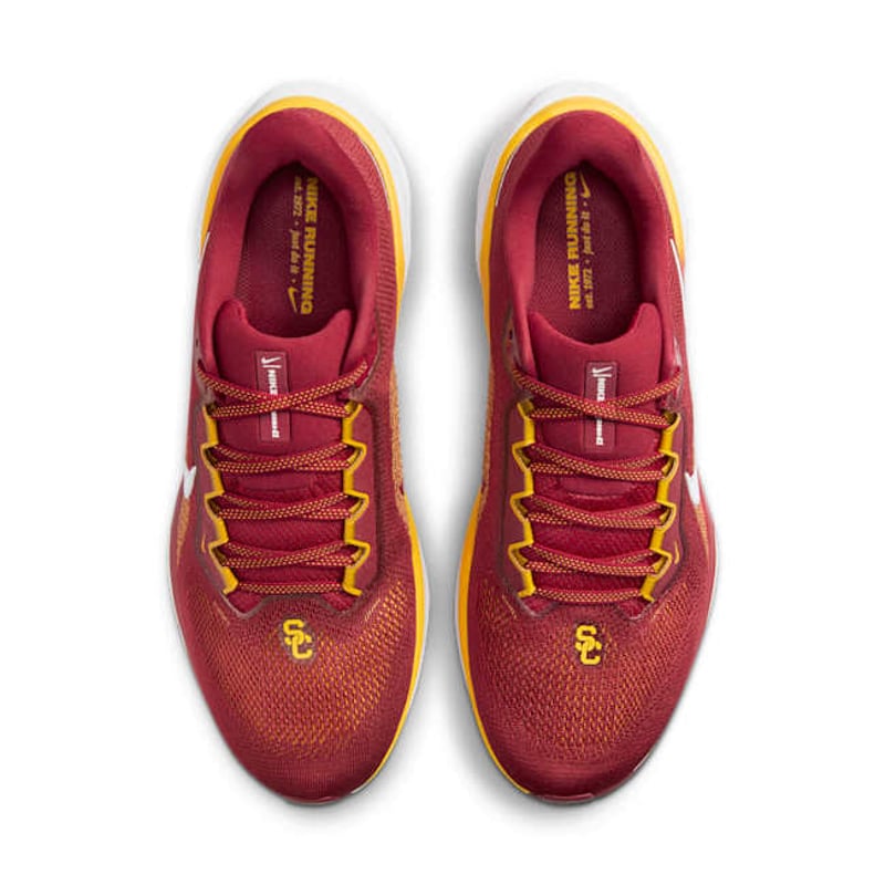 Nike Pegasus 41 FZ5150-600 04